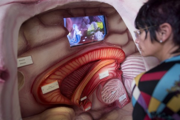 The brain at Stuttgart train station struck a chord with visitors in 2012
