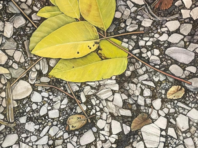 Painting of leaves on gravel.