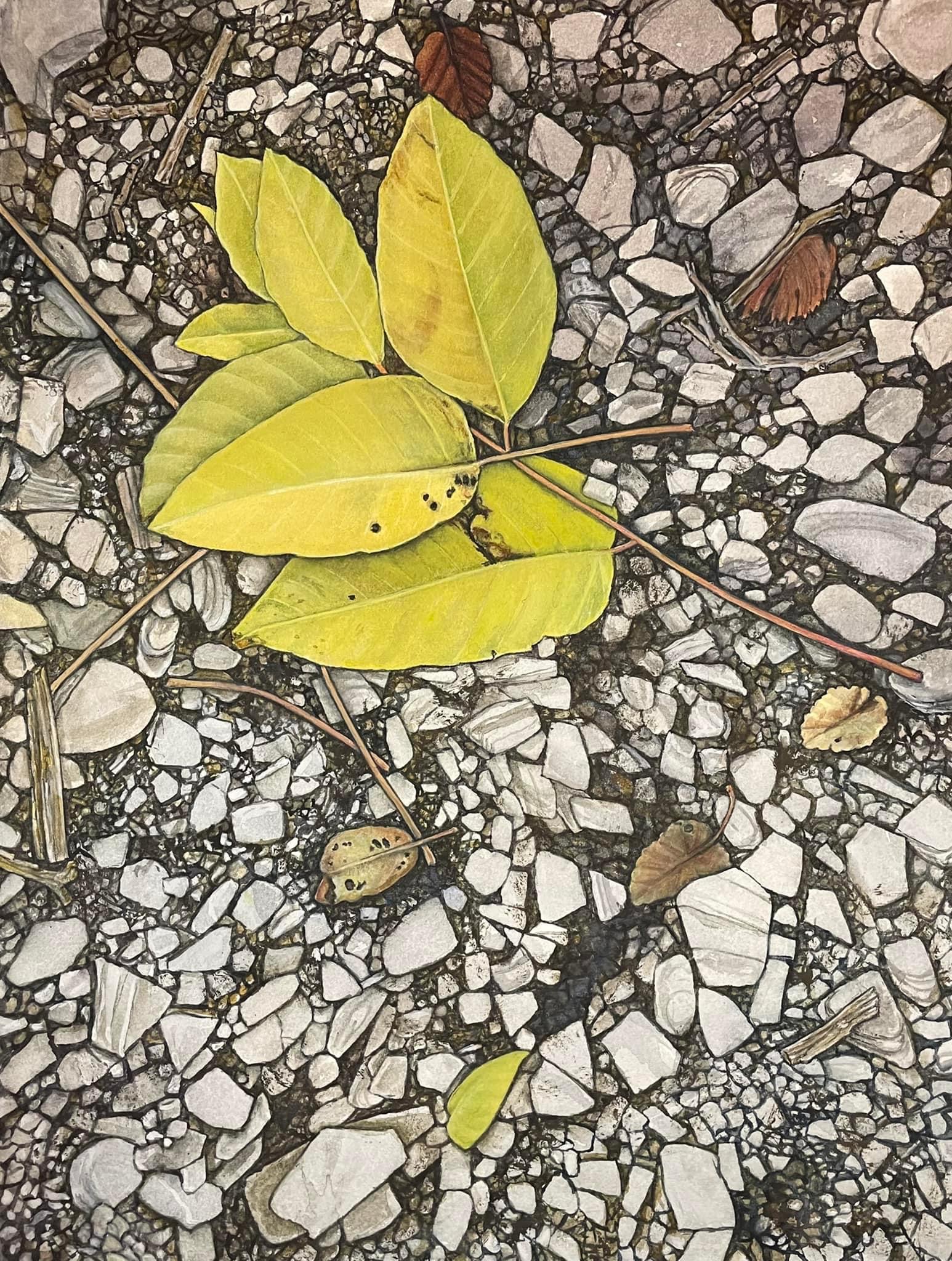 Painting of leaves on gravel.